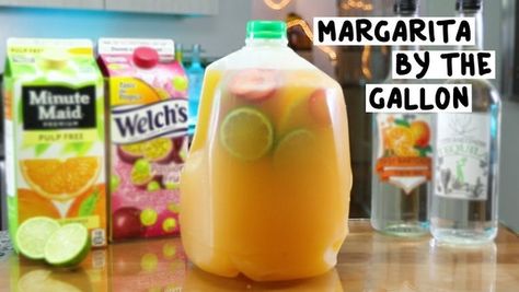 Margarita by the Gallon - Tipsy Bartender Margarita By The Gallon, Gallon Margarita Recipe, Tequila Punch, Orange Juice Cocktails, Pineapple Margarita, Party Drinks Alcohol, Passion Fruit Juice, Mixed Drinks Alcohol, Tipsy Bartender