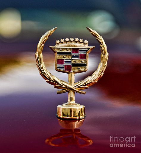 Cadillac Gold Edition Hood Ornament Car Hood Ornaments, Automobile Advertising, Car Badges, Cadillac Fleetwood, American Classic Cars, Car Emblem, Cadillac Eldorado, Hood Ornaments, Us Cars