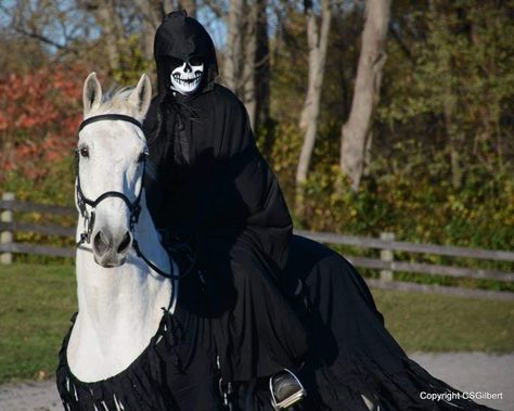 Horse Ghost Costume, Costume Horse And Rider, Halloween Costumes For Horses And Rider, Unique Horse And Rider Costumes, Horses Dressed Up For Halloween, Wednesday Costume, Halloween Horse, Reaper Costume, Horse Halloween Costumes