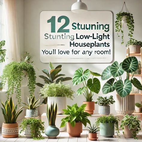 🌿 12 Stunning Low-Light Houseplants You’ll Love for Any Room! Transform your home into a lush, green oasis with these beautiful houseplants that thrive without much sunlight. Perfect for any room—bedrooms, bathrooms, or living spaces—these low-maintenance plants are ideal for plant lovers and beginners alike. From Snake Plants to Peace Lilies, each plant will add a fresh, vibrant touch to your decor while improving air quality. Discover how to care for them and where to place them for the best results! 🌱✨ Vertical Vegetable Garden Design, Diy Vertical Garden, Beautiful Houseplants, Common House Plants, Vertical Garden Ideas, Peace Lilies, Houseplants Low Light, Vertical Garden Indoor, Vertical Vegetable Garden