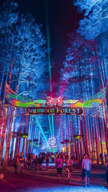 EDM Maniac on Instagram: "Next week we’re back ✨🌳 🎥: @electric_forest | Follow @edm_maniac for dance music/festival news, content + more #edmmaniac #forestfam #edm #musicfestival #edmlife #edmfamily #insomniacevents #raver #ravers #edmlovers #edmfestival #edmnation" Forest Festival, Edm Music Festivals, Electric Forest Festival, Indie Festival, Festival Photography, Sherwood Forest, Edm Rave, Electric Forest, Forest Photos