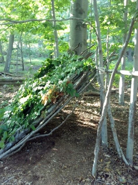 How to create a lean-to shelter in the Deciduous Forest Lean To Shelter, Survival Tattoo, Deciduous Forest, Survival Project, Lean To, Bushcraft Skills, Bush Craft, Survival Ideas, Wild Camping