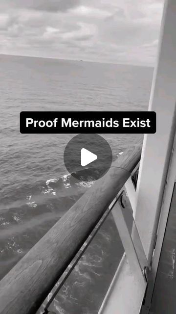 Real Mermaids Proof Of, Mermaids Real Proof, Are Mermaids Real Proof, Mermaid Videos Real Life, Do Mermaids Exist, Mermaid Facts, Mermaid Proof, Mermaid Realistic, Realistic Mermaid Drawing