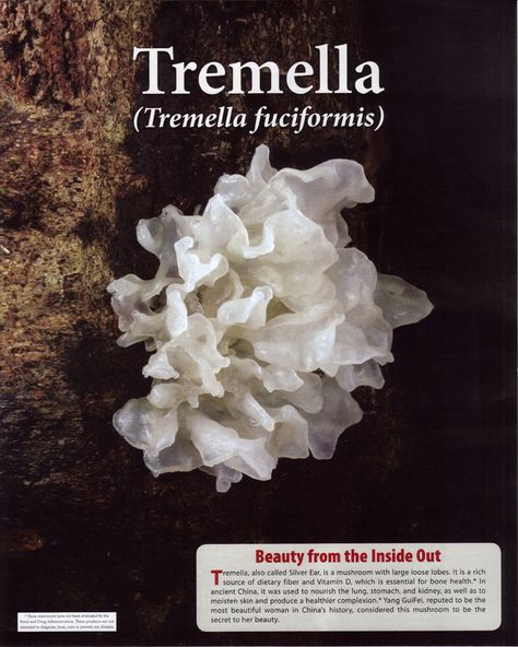 Tremella Mushroom, Italian Beauty Secrets, Minimalist Beauty Routine, French Beauty Secrets, Korean Beauty Tips, Celebrity Beauty Secrets, Korean Beauty Secrets, Ancient Beauty, Anti Aging Beauty