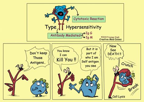 Type II Hypersensitivity-Antibody Mediated - Creative Med Doses Complement System, Hypersensitivity Reactions, Graves Disease, Muscle Weakness, Primary Care Physician, Thyroid Hormone, Cell Membrane, Primary Care, Biology