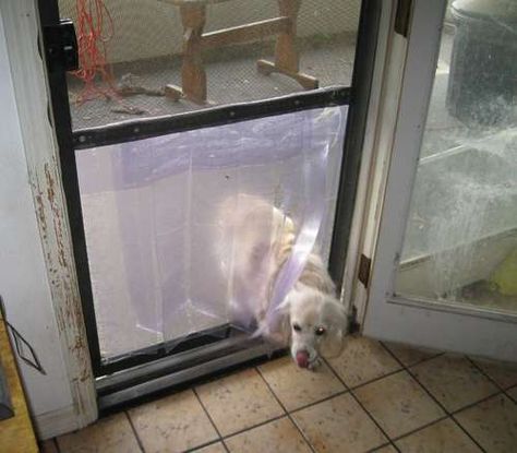 make your own doggie door from a screen door. diy. Dog Screen Door, Diy Doggie Door, Sliding Patio Screen Door, Pet Screen Door, Metal Dog Kennel, Doggy Door, Patio Screen Door, Garage Screen Door, Diy Screen Door