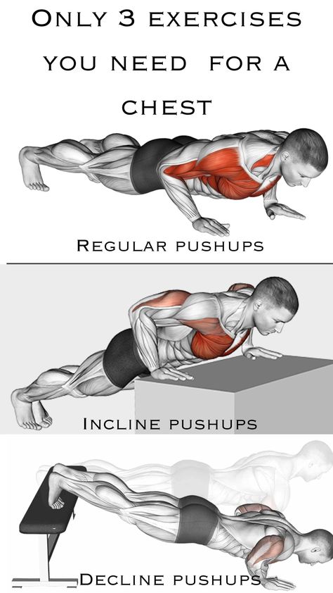 Pushup Benefits Muscle, Pushups For Beginners, Push Up Muscles, Tricep Pushup, Physical Goals, Chest Workout For Men, 1000 Calorie, Gym Workout Guide, Gym Workout Plan For Women