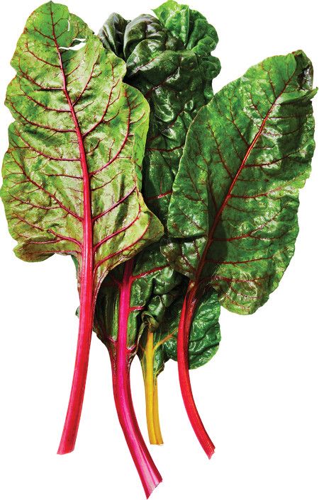 Rainbow Chard Is in Season – How to Enjoy This Vibrant, Nutrient-Dense Veggie Sauteed Swiss Chard, Red Chard, Malabar Spinach, Joy Bauer, Rainbow Chard, Green Peppers, Heirloom Vegetables, Vegetable Seeds, Swiss Chard