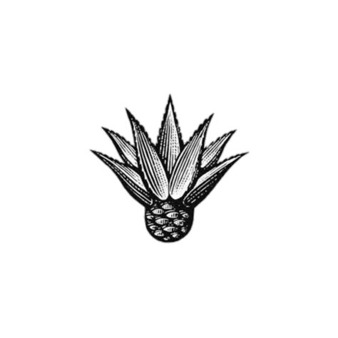 Tequila Plant Tattoo, Mezcal Logo, Agave Tattoo, Tequila Party, Retirement Village, Frog Tattoo, Frog Tattoos, Aztec Tattoo, Plant Tattoo