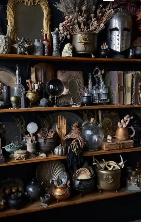 Cabinet Of Curiosity, Witch Cottage, Dark Academia Decor, Dark Home Decor, Artwork Creative, Dark Home, Goth Decor, Gothic Home, Cabinet Of Curiosities