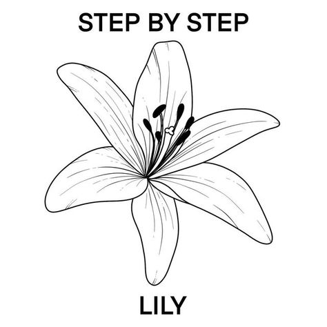 Lily Flower Clipart, How To Draw A Lily Flower, Lilies Flowers Drawing, Lily Doodle, Types Of Flowers Drawing, Lily Outline, Lily Flower Drawing, Lily Drawing, Lilly Flower Drawing