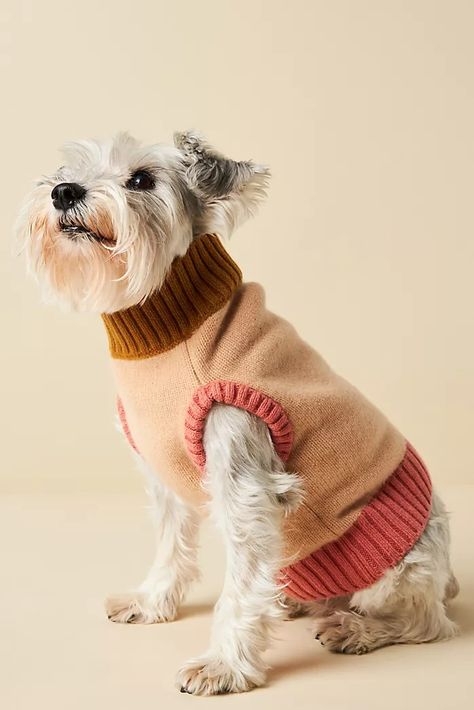 Nooee Pet | Anthropologie Dog Wearing Clothes, Animal Photoshoot, Pet Sweaters, Cute Dog Clothes, Fun Toys, Dog Apparel, Dog Wear, Dog Sweaters, Dog Sweater