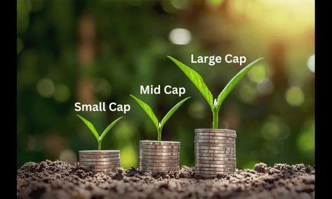 Mid Cap, Small Cap, Major Cap, Stocks, Stock Market, Share Market, Stock Market Courses, Small Caps, Investing In Stocks, Capital Market, The Basics, Stock Market, Cool Things To Make, Finance, Key