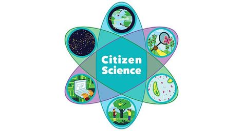 Citizen Scientist, Monarch Butterfly Migration, Butterfly Migration, Exclusive Club, Neutron Star, Data Quality, Citizen Science, Scientific Discovery, Everyday People