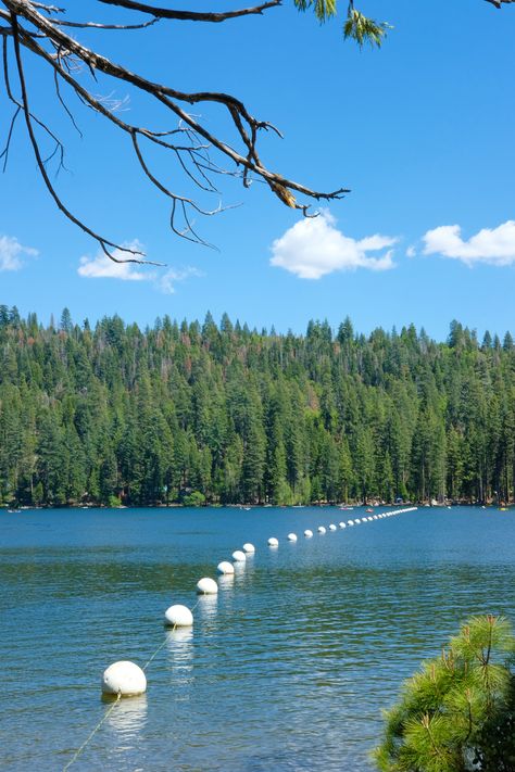 How to spend the perfect day at the lake. #travel #pinecrest #california #summer Lake Berryessa California, Pinecrest Lake California, Lake Gregory California, Lake Powell Camping, Pinecrest Lake, Convict Lake California, Day At The Lake, Pictures Of Beautiful Places, California Aesthetic