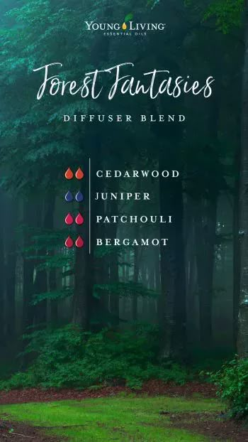 Popular Diffuser Blends, Thyme Essential Oil Diffuser Blends, Acotar Diffuser Blends, Juniper Essential Oil, Lilin Aroma, Expensive Candles, Eo Blends, Essential Oil Combinations, Essential Oil Diffuser Blends Recipes