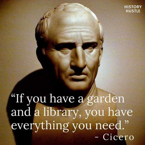 History Quotes Funny, Brilliant Quotes, Brilliant Quote, Stoicism Quotes, Stoic Quotes, History Quotes, Historical Quotes, Philosophical Quotes, Interesting Quotes