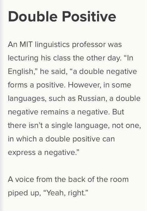 Double Positive English Major Joke Linguistics Major, Clean Funny Pictures, Double Negative, Clean Funny, Trending On Pinterest, English Major, Old Memes, Clean Humor, Fresh Memes