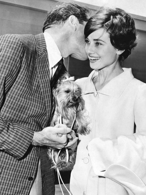 Mel Ferrer and Audrey Hepburn with their Yorkshire terrier, Mr. Famous, July 2, 1958 Audrey Hepburn Born, Audrey Hepburn Photos, Audrey Hepburn Style, Time Traveler, Hepburn Style, British Actresses, Classic Beauty, Audrey Hepburn, Classic Hollywood