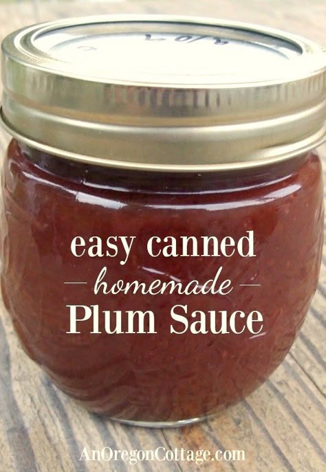 Easy homemade canned plum sauce for Asian dishes, meats and more. Canning Plum Sauce, Plum Sauce Recipe Easy, Recipes For Plums, Plum Canning Recipes, Plum Sauce Canning Recipe, Plum Sauce Recipe Chinese, Canning Plums, Savoury Sauces, Plum Sauce Recipe