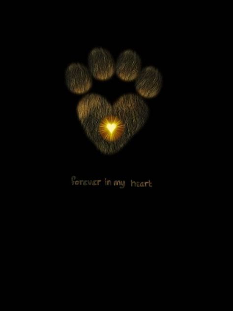 Cat Lego, Pet Condolences, Fu Dog, Psy I Szczenięta, Forever In My Heart, Pet Remembrance, 강아지 그림, Love My Dog, Tommy Boy