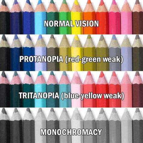 How colourblind people see - 9GAG Color Vision Deficiency, Color Vision, Eye Exercises, Types Of Colours, Color Blind, Learning Tools, Eye Care, Basic Shower Curtain, Light Red