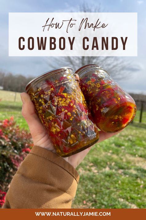 The Best Cowboy Candy Recipe (Candied Jalapenos) Pickle Jalapenos, Cowboy Candy Jalapenos, Cowboy Candy Recipe, Pineapple Chili, Water Bath Canning Recipes, Canned Jalapenos, Cowboy Candy, Candied Jalapenos, Home Canning Recipes