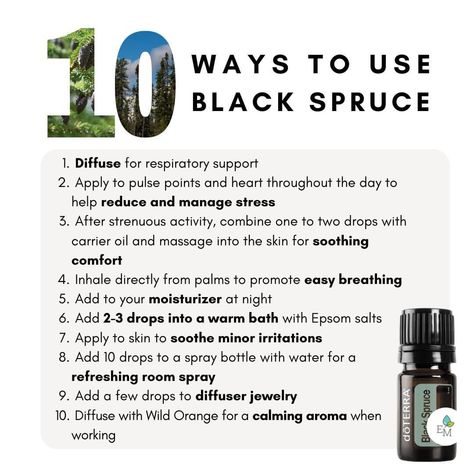 Doterra Black Spruce, Doterra Cypress Diffuser Blends, Doterra Supplement Routine, Black Spruce Essential Oil, Rollerball Recipes, Doterra Motivate, Essential Oil Chart, Doterra Adaptiv Roller Blend, Spruce Essential Oil