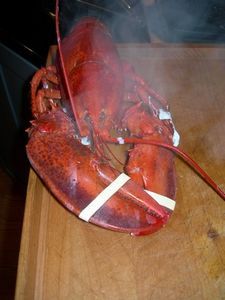 How to Pressure Cook Lobster thumbnail Cooking Frozen Lobster Tails, Cooked Lobster, Frozen Lobster Tails, Shellfish Allergy, Frozen Lobster, Lobster Bake, Pressure Cooking Recipes, How To Cook Liver, Electric Pressure Cooker Recipes