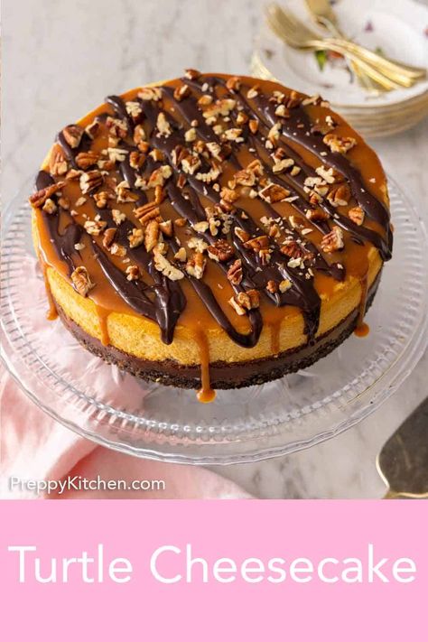 Rich and creamy, this Turtle Cheesecake is a showstopping dessert that is perfect for the holidays. Filled with caramel, chocolate, and pecans over a chocolate cookie crust, this cheesecake has it all! It’s sure to be a huge hit, and everyone will want you to make it again. Turtle Cheesecake Topping, Gluten Free Turtle Cheesecake, Turtle Pecan Cheesecake, Turtle Cheesecake Recipe Easy, Chocolate Turtle Cheesecake, Ultimate Turtle Cheesecake Recipe, Turtle Cheesecake Recipe, Turtle Cheesecake Recipes, Digestive Cookies