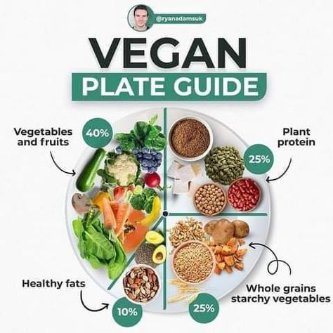 Healthy Food Plate, Nutrition Plate, Vegan Plate, Diet Hacks, Vegan Tips, Plant Based Diet Recipes, Healthy Food Facts, Vegan Nutrition, Vegan Meal Plans