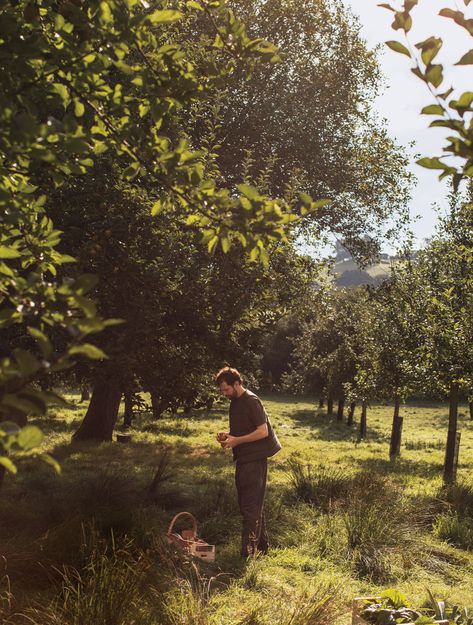 The Bucolic County of Somerset Is Forging a New Creative and Culinary Identity Scott Street, Uk Trip, Green Pastures, Cheese Maker, Cow Parsley, Green Pasture, Cultural Studies, Countryside House, Dairy Cows