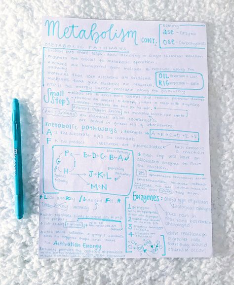 #neathandwriting #neatnotes #prettynotes #metabolism Metabolism Notes, Biological Molecules, Med Notes, Note Taking Ideas, Bio Notes, Study Chemistry, Nursing School Essential, A Level Biology, Nurse Study