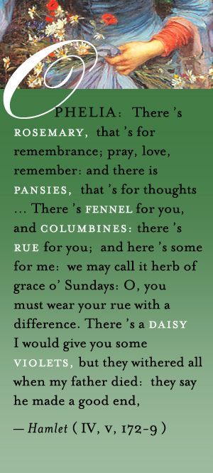 Ophelia's flower speech is an important speech to recognize because she is tying together her character. She has been showing signs of insanity but in this scene, although crazy, she is making sense of who deserves what. "There's fennel for you, and columbines...They say he made a good end." (4.5.204-210) Flowers Meanings, Shakespeare Tattoo, Shakespeare Love Quotes, Shakespeare Love, New Flowers, Shakespeare Quotes, Landscaping Tips, Flower Quotes, Trendy Quotes