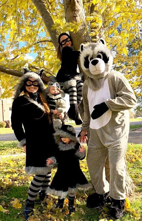 Swindler Sisters Swindler Family Halloween Raccoon Family Trash Panda Family Raccoon Family Costume, Racoon Costume, Costume For Couples, Raccoon Costume, Halloween Raccoon, Costume Family, Family Halloween Costume, Raccoon Family, Panda Family