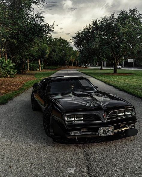 Rad Racer — Pontiac Firebird Trans-Am Swedish Forest, Rad Racer, Old Muscle Cars, Pontiac Firebird Trans Am, Custom Muscle Cars, Street Racing Cars, Abandoned Cars, Classy Cars, Pretty Cars