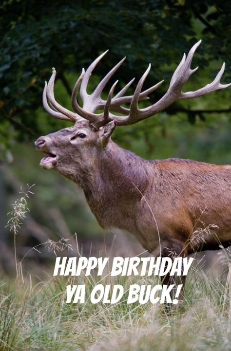 Happy Birthday Hunter Funny, Happy Birthday Hunting, Happy Birthday Hunter, Male Birthday, Deer Hunters, Man Birthday, Hunting, Happy Birthday, Birthday