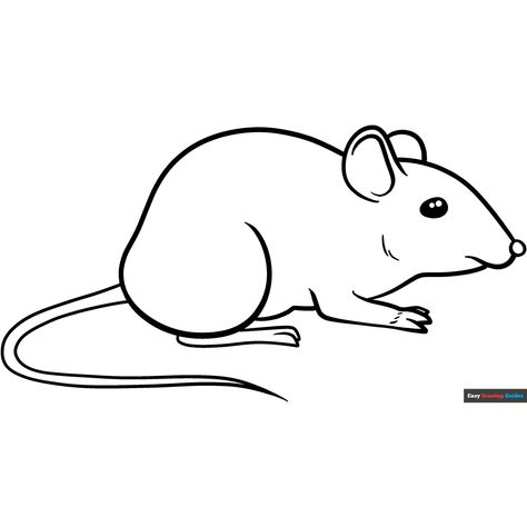 Free Easy Mouse Coloring Page for Kids Mouse Drawing Easy, Easy Drawing Guides, Panda Coloring Pages, Free Printable Coloring Sheets, Mouse Pictures, Mouse Drawing, Drawing Guides, Frog Drawing, Mouse Color