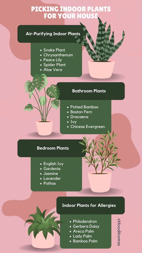 [PaidLink] Add Life To Your Home With Indoor Plants. Improve Your Mood And Air Quality At The Same Time! #lowlighthangingindoorplants Household Plants, Plant Care Houseplant, Inside Plants, Growing Plants Indoors, Best Indoor Plants, Bathroom Plants, Plant Decor Indoor, Bedroom Plants, House Plants Decor