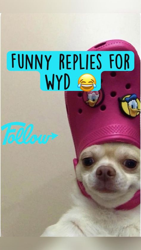 What to say when someone asks wyd 😂 Replies For Wyd, Funny Replies, Funny Things To Say, Random Tips, What To Say, Summer Bucket List, Funny Short, Life Tips, Funny Short Videos