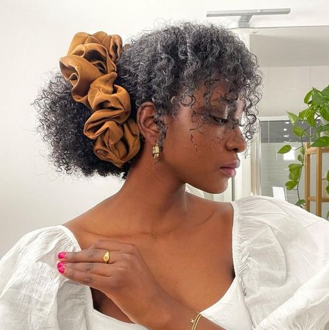 Formal Hairstyle Natural Hair, Natural Hair Scrunchie Hairstyles, Poc Hairstyles, College Hair, Photoshoot Spring, Type Chart, Nice Hairstyles, Cabello Afro Natural, Feminine Hairstyles