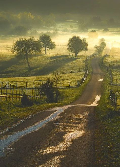 Pretty Landscapes, Dirt Road, Alam Yang Indah, Country Road, Nature Aesthetic, Pretty Places, Fantasy Landscape, Nature Pictures, Beautiful World