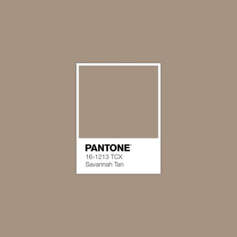 Pantone 16-1213 TCX Savannah Tan • Concealing Coloration • Savanah Tan, Pantone Palette, Pantone Colours, Pantone Colors, Pantone, Kangaroo, Ganache, Fired Black, Colour Scheme, Colour Inspiration, Color Scheme, Color Palette, Cement, Camouflage • Download Free Adobe Illustrator Palette in .ase • #pantone #pantonecolor #fashionforecast #fashionforecaster #colortrends #colourschemes #patterncollection #colorpalettes #colorschemes #colourtrends #colourpallette Colors Name In English, Light Taupe Color, Pantone Swatches, Pantone Palette, Color Pantone, Pantone Colour Palettes, Barbie Coloring Pages, Pantone Colors, Colour Board