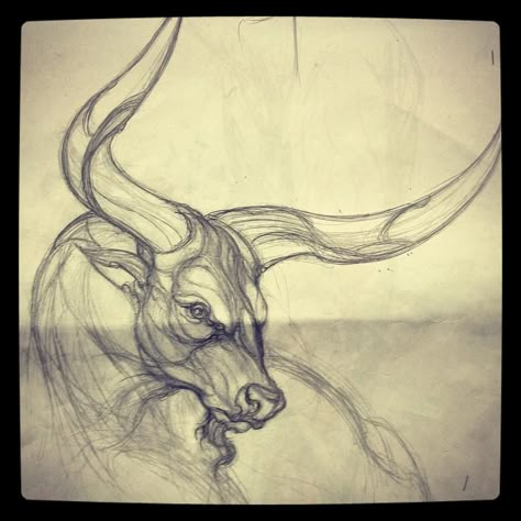 bull tattoo                                                                                                                                                                                 Más Bull Sketch, Tattoos Taurus, Tattoo Bull, Ox Tattoo, Taurus Bull Tattoos, Sternum Tattoo Design, Bull Tattoo, Masculine Tattoos, Taurus Art