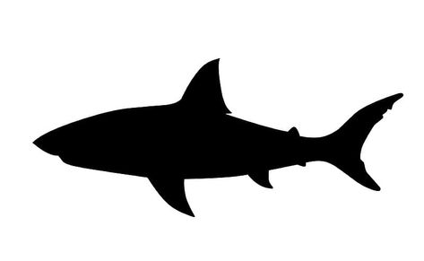 Shark Teeth Crafts, Small Shark Tattoo, Shark Silhouette, Small Shark, Tattoo Inspiration Men, Silhouette Tattoos, Shark Tattoos, Small Canvas Paintings, Silhouette Images