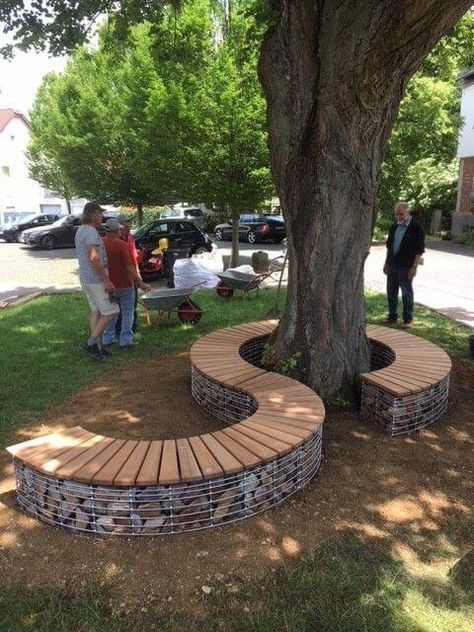 Bench Around Trees, Gabion Ideas, Landscaping Around Trees, Outdoor Learning Spaces, House Simple, Sensory Garden, Children's Garden, Easy Flower, Have Inspiration