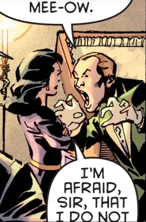 Riddler And Catwoman, Funny Dc Comic Panels, Batman Riddler, Joker Is, Comic Book Panels, Dc Villains, Batman Joker, Dc Memes, Batman And Superman