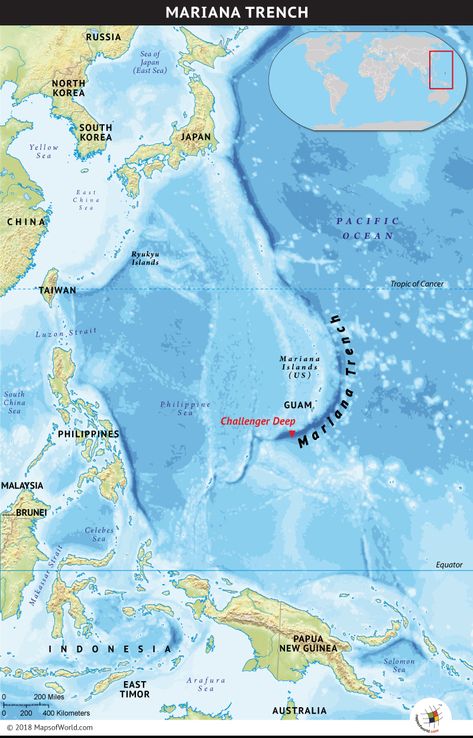 Where is the Mariana Trench? Mariana Trench Ocean, Challenger Deep, Ocean Trench, World History Facts, Mariana Trench, Geography Worksheets, Unusual Facts, Homeschool Geography, Physical Geography