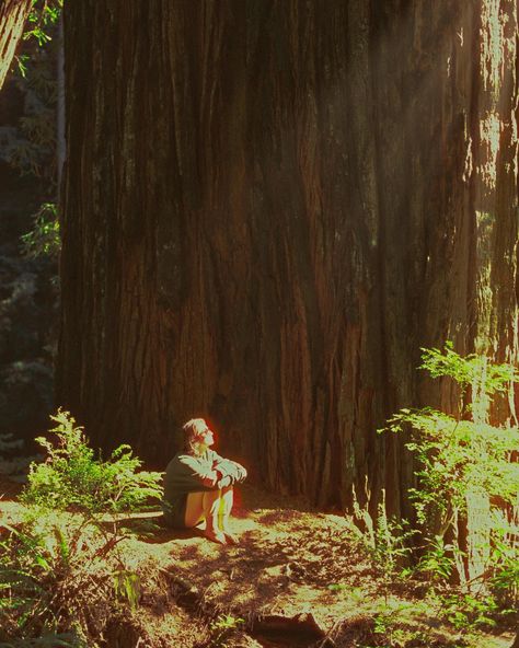 Shinrin-Yoku 📷: Nikon FE @nikonusa 🎞️: @cinestillfilm #400d The term “Shinrin-yoku,” meaning “forest bathing” in Japanese, may have been coined in 1982 by Tomohide Akiyama, director of the Japanese Ministry of Agriculture, Forestry and Fisheries. But the connection between nature and well-being stretches back centuries! Shinto and Buddhist traditions have long revered forests as sacred spaces for peace and rejuvenation. Bring that sense of serenity home with my limited-edition “Shinrin-y... Nikon Fe, Calming Images, Shinrin Yoku, Buddhist Traditions, Sacred Spaces, Forest Bathing, 35mm Film, Sacred Space, Well Being