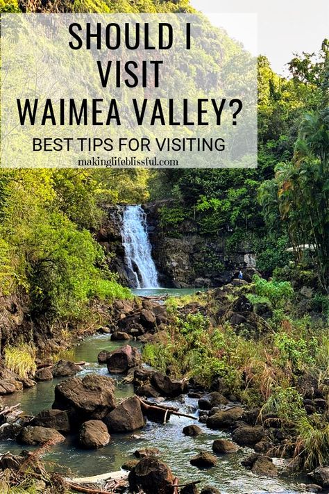 Should I Visit Waimea Valley in Oahu? | Making Life Blissful Waimea Falls, Waimea Valley, Hawaiian History, Polynesian Cultural Center, Road To Hana, Activities For Boys, Cultural Activities, Hawaii Vacation, Oahu Hawaii